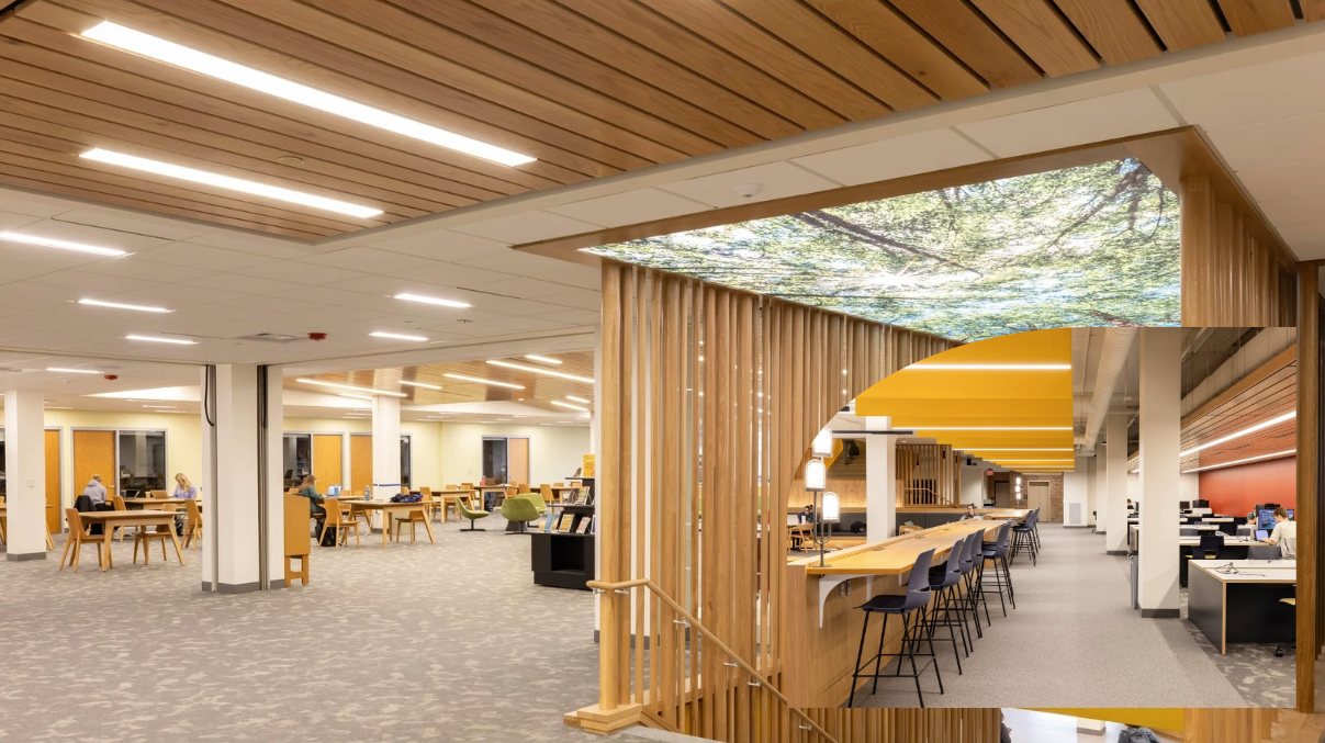 Calvin University Library